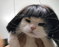 David Bun