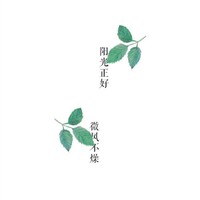 朱乐乐
