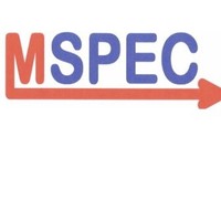 MSPEC SPECIFICATION MANAGEMENT CONSULTANTS LLC
