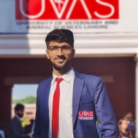 Hafiz Muhammad Abdullah