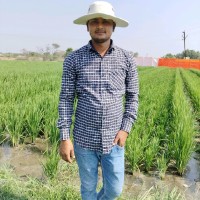 Govind Yadav