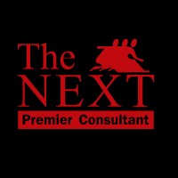 THE NEXT CONSULTANT