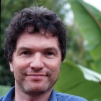 David O'Sullivan