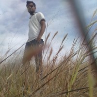 Sandeep Reddy