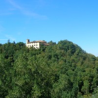 MASSIMILIANO ORLANDI