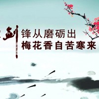 杨一红