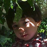 Mohamad Alnaser