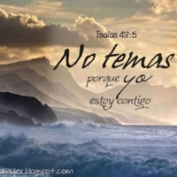 HUMBERTO FEDERICO BORRAYO CASTILLO