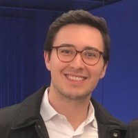 Pedro Henrique V. Carvalho