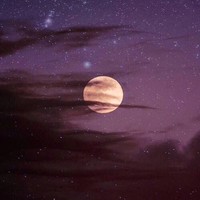 方舒展
