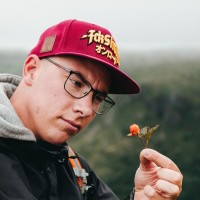 Gustaf Heijdenberg