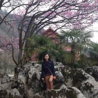 Cheryl Wu