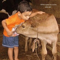 sathish kumar
