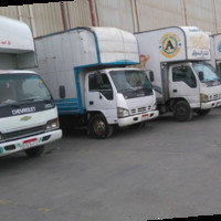 المتحدة للنقل والشحن مصر وخارجها