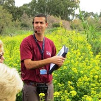 Gilad Argaman