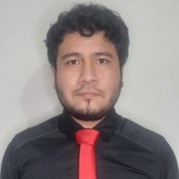 Joao Flores Yance