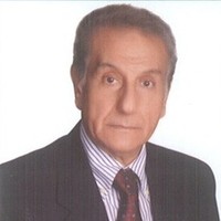 Ahmed Shoukry