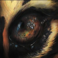 DIANA MARITZA MONCADA CAMACHO