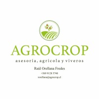 Raúl Andrés Orellana Fredes