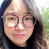 Lingying Wen