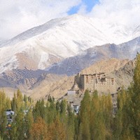 Jigme Stanzin