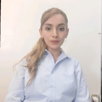 Lizbeth Quiroz Castañeda