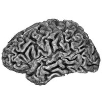 Anwar Nunez-Elizalde