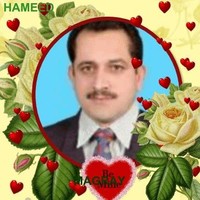 hameed magray