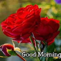 Gurpreet Singh