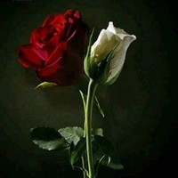 Gukeed Janbiir