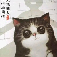 赵志乾