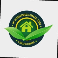 My hydroponics Soilless farming