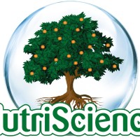 Rolando Calvanese Bello