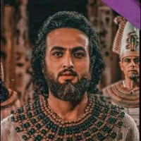 مصطفى القاضي