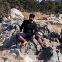Ashok Chopra