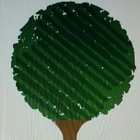 Green Bush Development