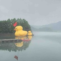 何金财