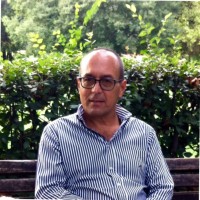 Massimo Giorgi