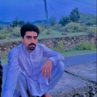 Habib Yousafzai