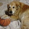 Lulu Abonce