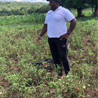 Bruno António Miguel Nguana