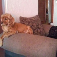 Fredy Arellano Gonzalez