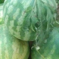 王刘法