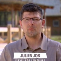 julien job