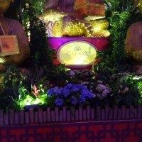 刘熊一郎