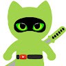 Green Ninja Cat