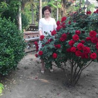 刘桃花