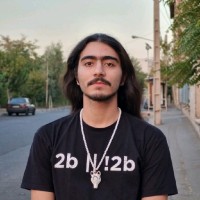 Amir Hossein Shapouri