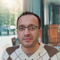 ayman ibrahim
