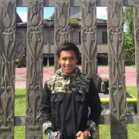 Aldi Leonaldi